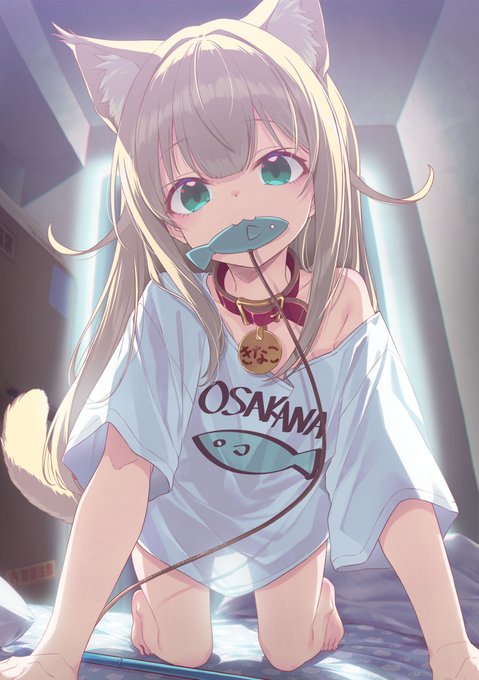 ID: 1998528333953527993