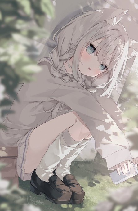 ID: 1859884527155601853