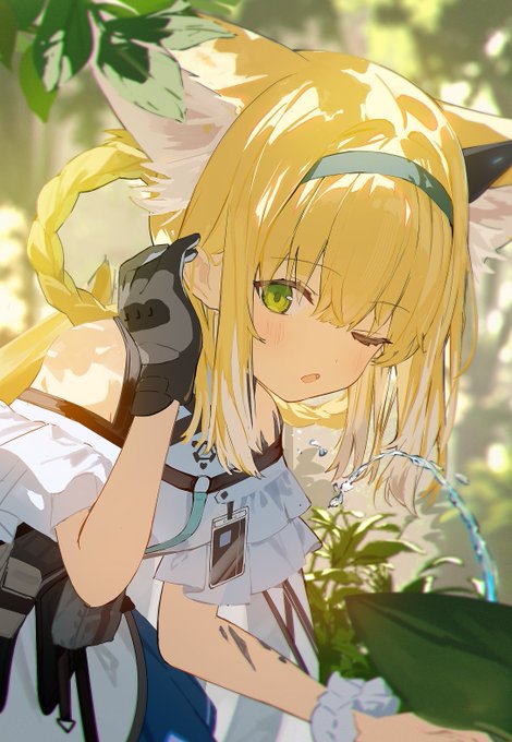 ID: 1883080349233918312