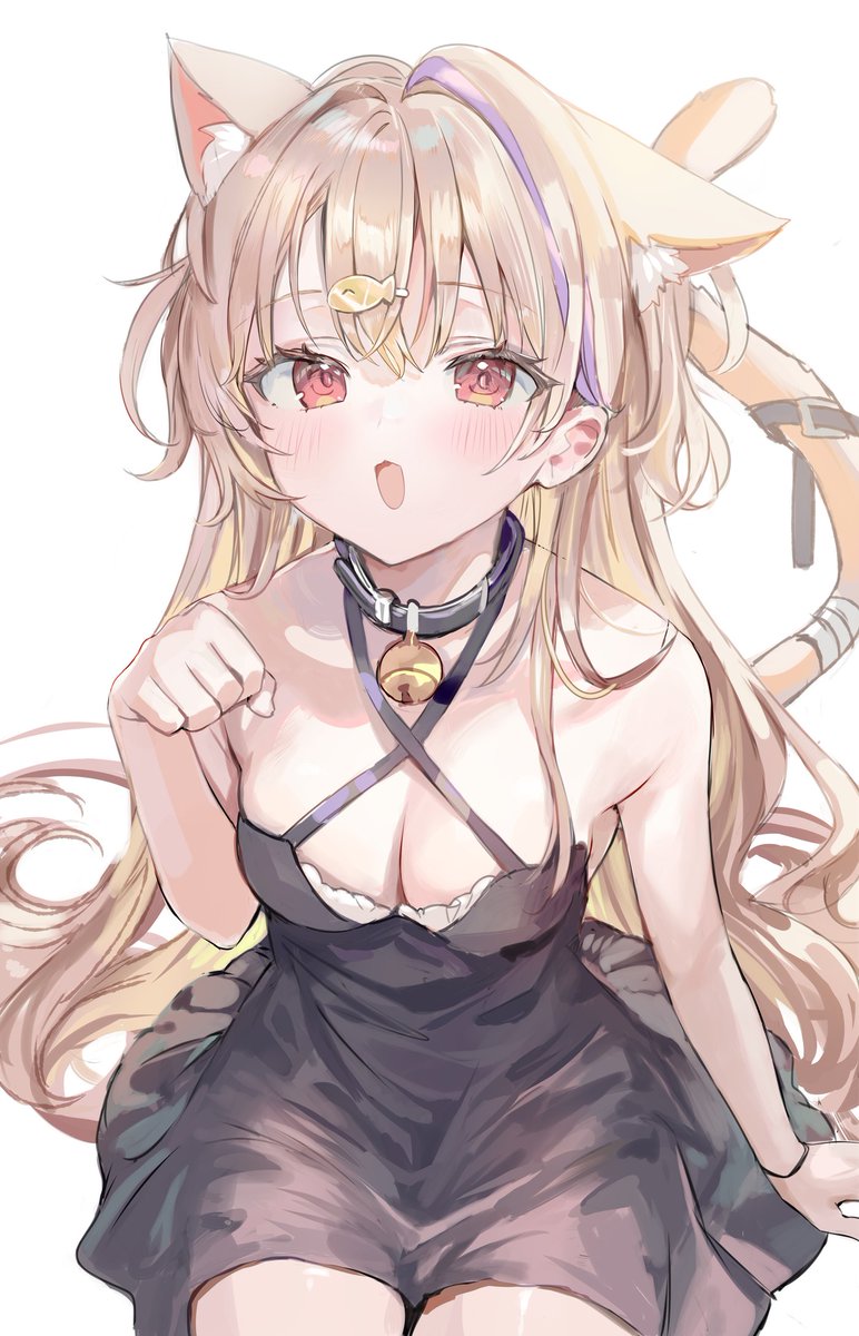 ID: 1893317208475947202