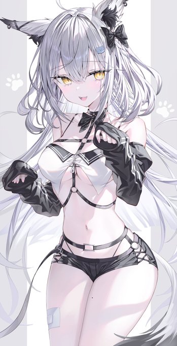 ID: 1896501021364641989