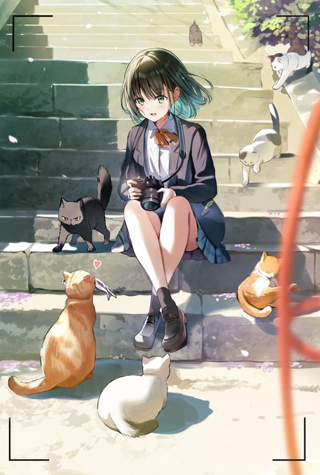 ID: 1903385205898883280