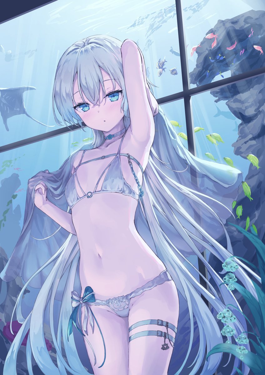 ID: 1906289074509668423