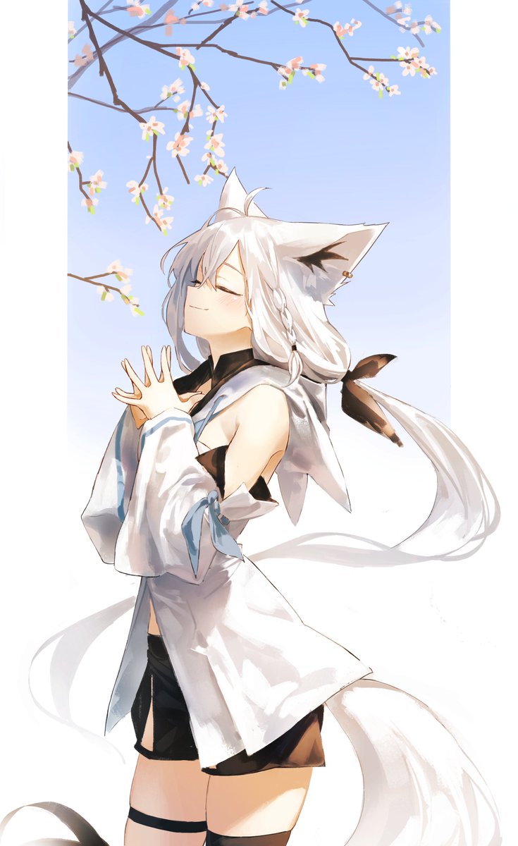 ID: 1913531746030858607 - p0