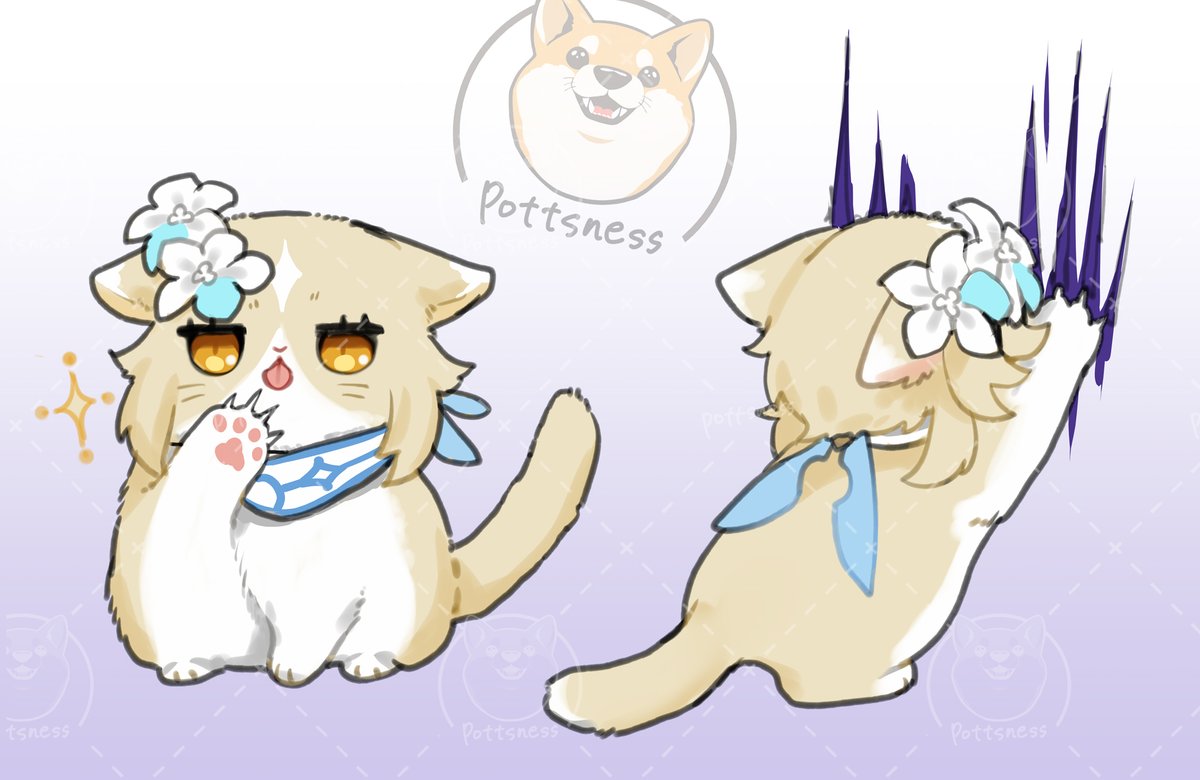 ID: 1930912557918834904 - p1